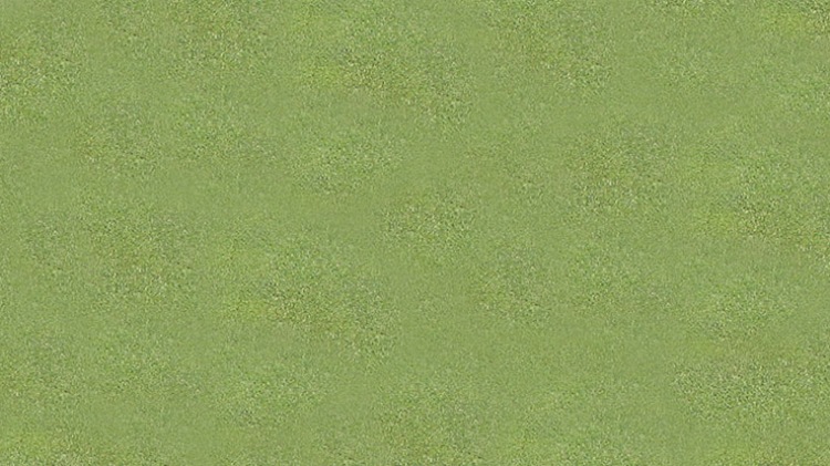 Thatch-Away Greens Roller Grass