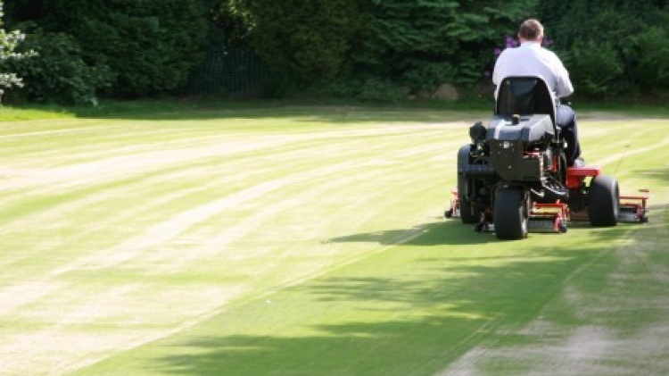Thatch-Away Topdressing Brush in Action